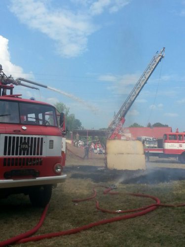 WhatsApp Image 2016-10-16 at 17.31.06