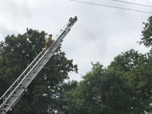 WhatsApp Image 2017-07-27 at 19.28.33